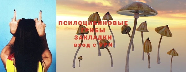 амф Семикаракорск